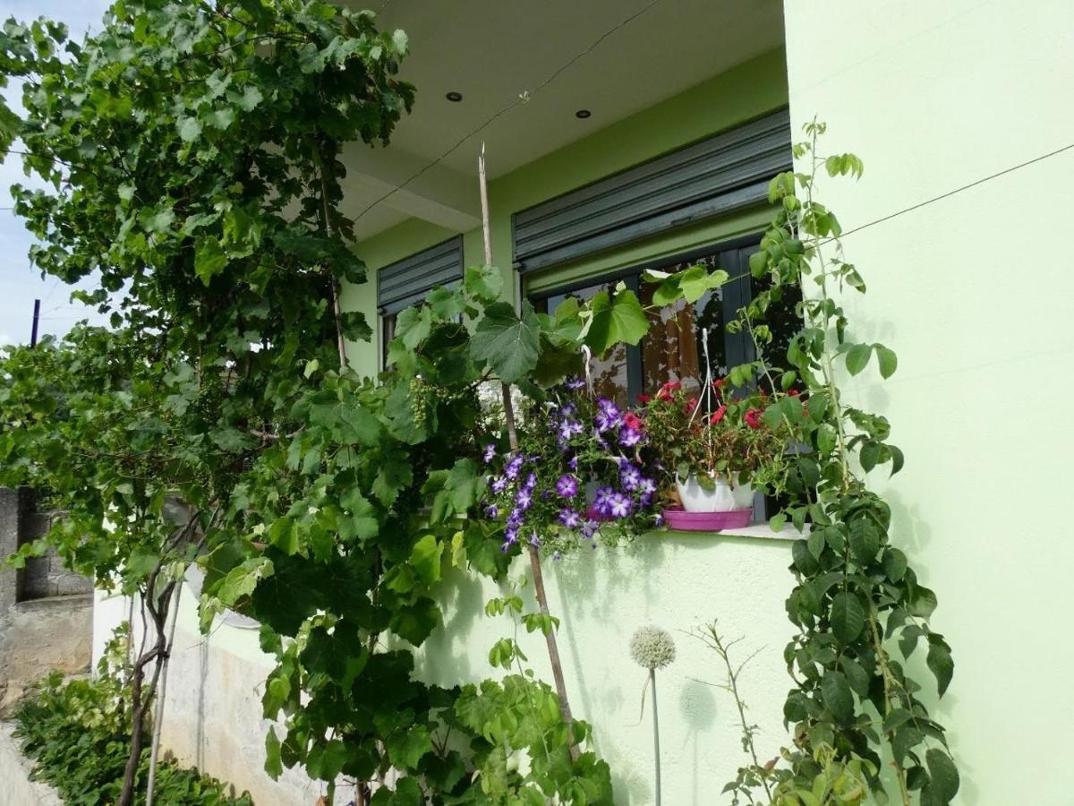 Guesthouse Aleksander Μπεράτ Εξωτερικό φωτογραφία